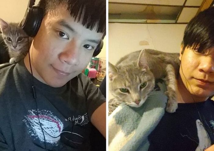 20 animais que se recusam a deixar seus seres humanos, mesmo que por um minuto 20 20 animais que se recusam a deixar seus seres humanos, mesmo que por um minuto 20