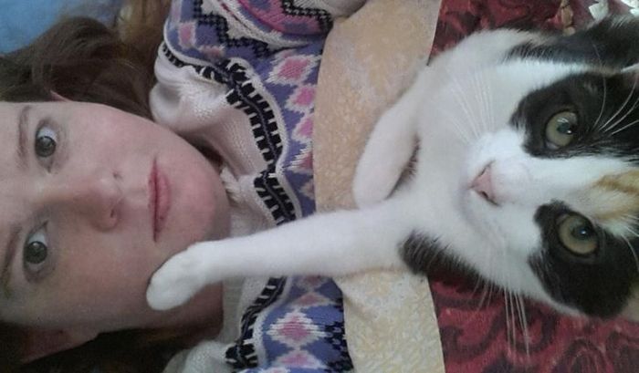 20 animais que se recusam a deixar seus seres humanos, mesmo que por um minuto 22 20 animais que se recusam a deixar seus seres humanos, mesmo que por um minuto 22