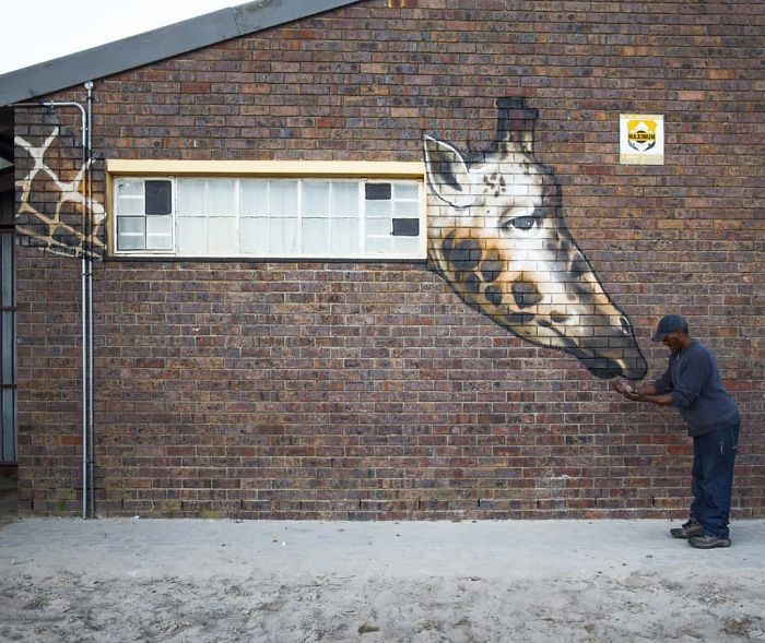 Artista sul-africano pinta grafites incríveis que interagem com o ambiente (32 fotos) 4