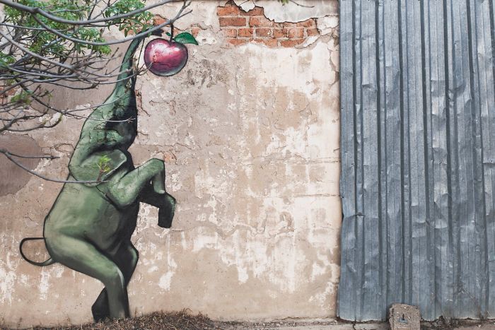 Artista sul-africano pinta grafites incríveis que interagem com o ambiente (32 fotos) 11