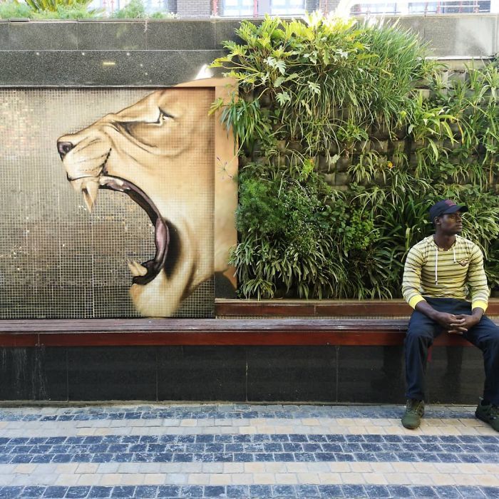 Artista sul-africano pinta grafites incríveis que interagem com o ambiente (32 fotos) 17