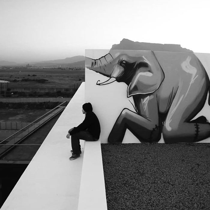 Artista sul-africano pinta grafites incríveis que interagem com o ambiente (32 fotos) 20