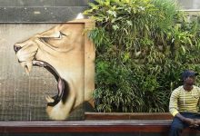 Artista sul-africano pinta grafites incríveis que interagem com o ambiente (32 fotos) 32