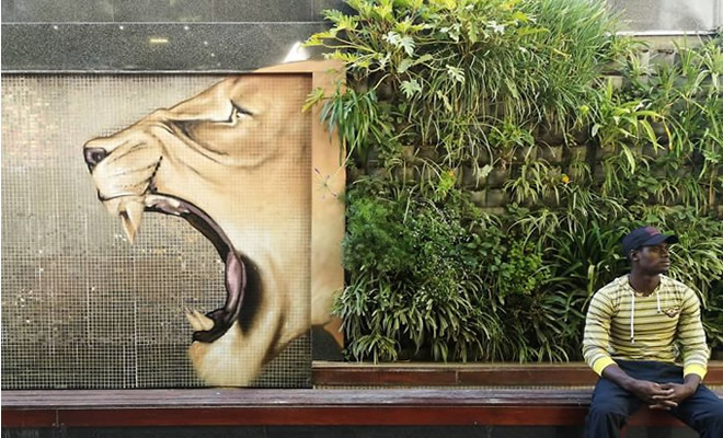 Artista sul-africano pinta grafites incríveis que interagem com o ambiente (32 fotos) 221