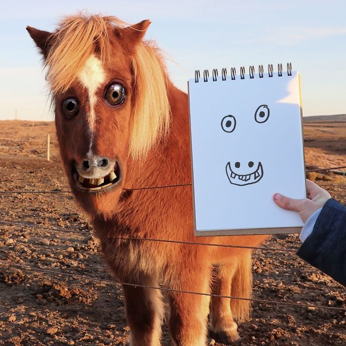 E se os desenhos das crianças ganhassem vida (40 fotos) 22