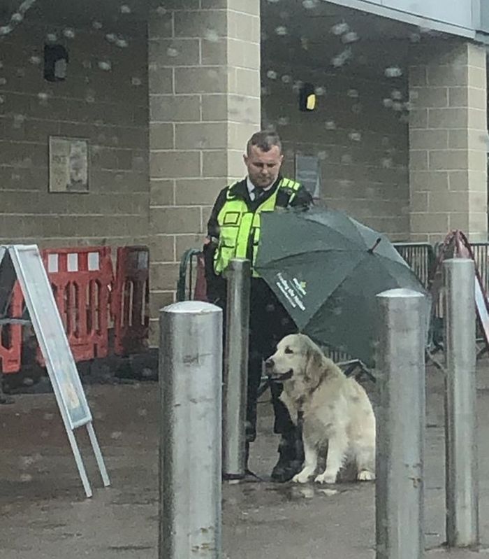 19 fotos encantadoras, capazes de transformar seu dia ruim em um dia especial 18