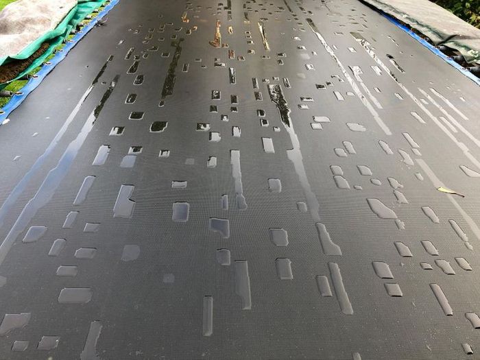 23 fotos que são verdadeiramente um banquete para a visão 6