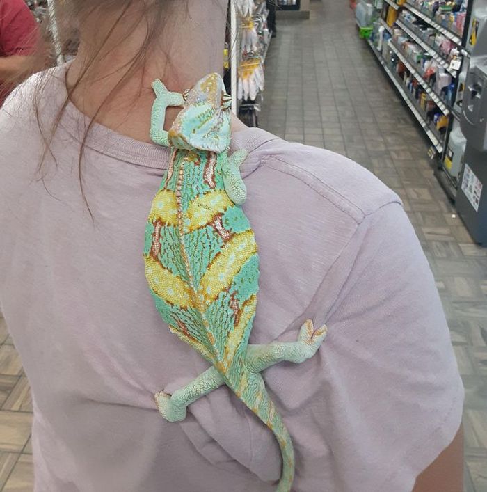 23 fotos que são verdadeiramente um banquete para a visão 13