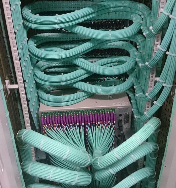 23 fotos que são verdadeiramente um banquete para a visão 15