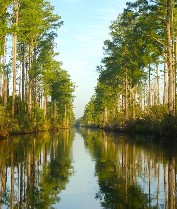 23 fotos que são verdadeiramente um banquete para a visão 22