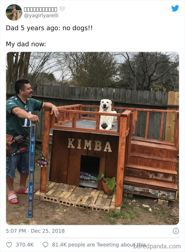 25 pais que não queriam animais de estimação em suas vidas 5