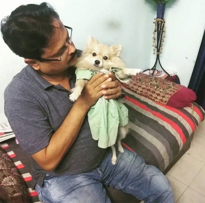 25 pais que não queriam animais de estimação em suas vidas 13