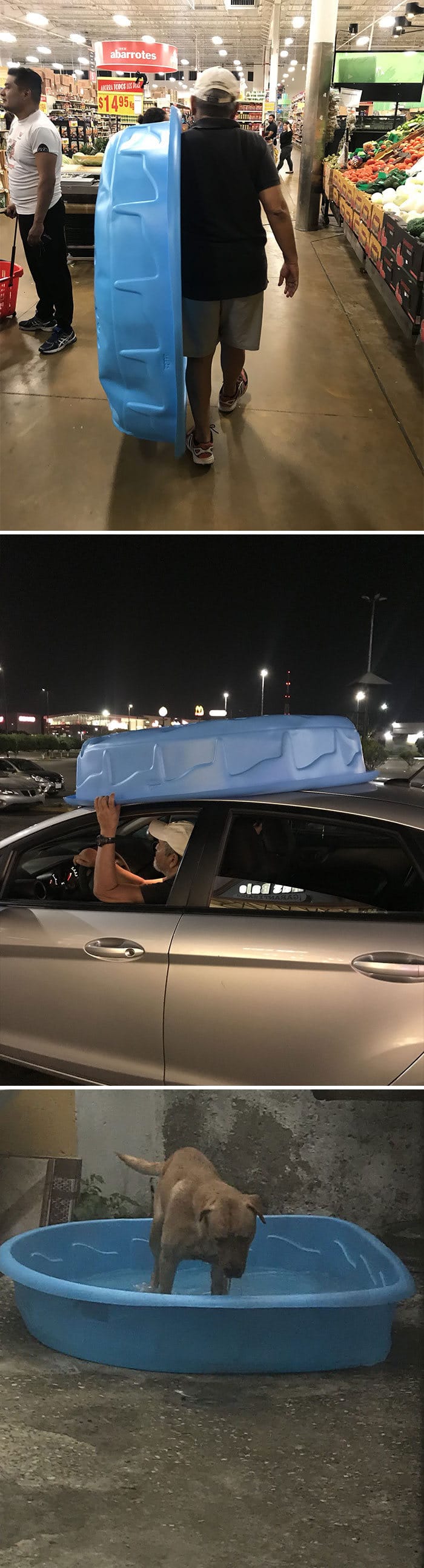 25 pais que não queriam animais de estimação em suas vidas 15