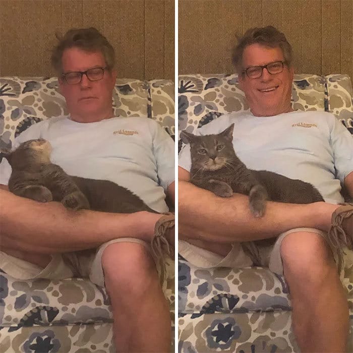 25 pais que não queriam animais de estimação em suas vidas 22