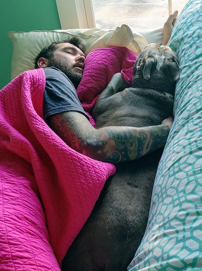 25 pais que não queriam animais de estimação em suas vidas 25