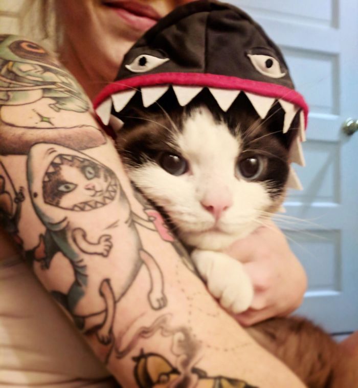 45 pessoas que fizeram tatuagens absolutamente incríveis de gatos 4