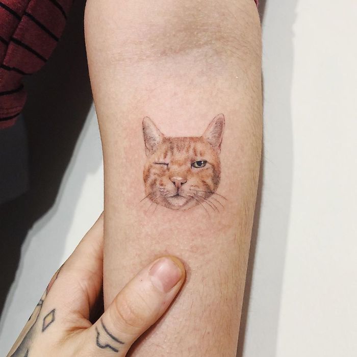 45 pessoas que fizeram tatuagens absolutamente incríveis de gatos 8