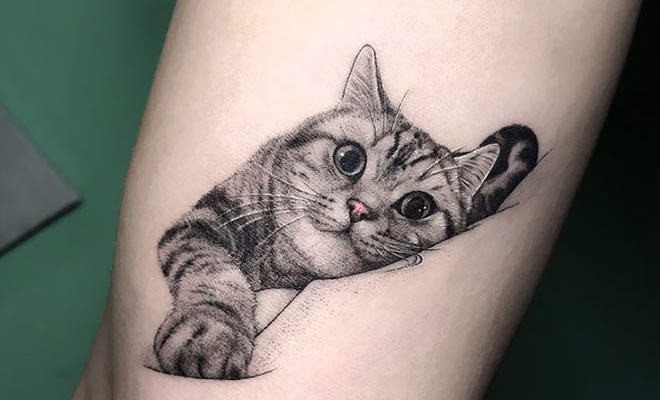45 pessoas que fizeram tatuagens absolutamente incríveis de gatos 188