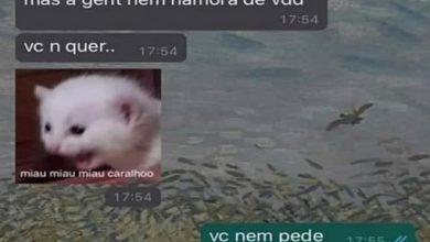 T-Links – Links da semana #84 5