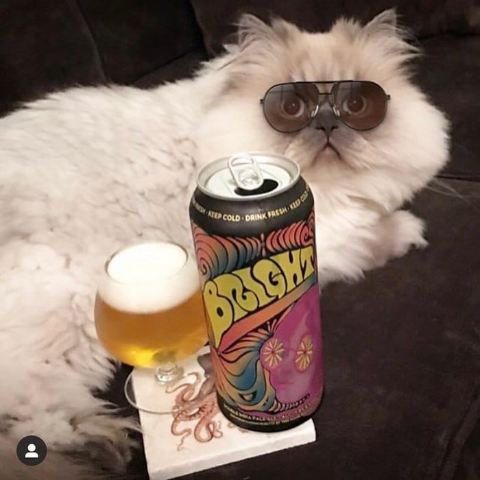 A conta do Instagram Got Toddlered mostra os pais antes e depois dos filhos 7