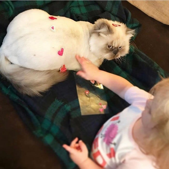 A conta do Instagram Got Toddlered mostra os pais antes e depois dos filhos 8