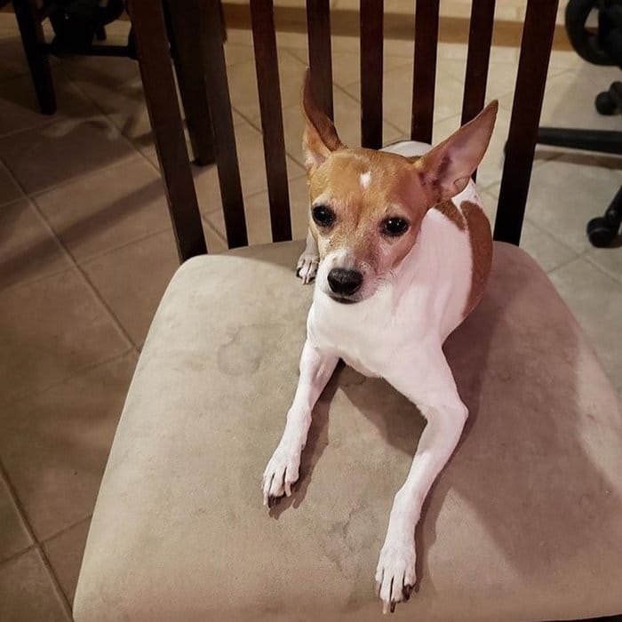 A conta do Instagram Got Toddlered mostra os pais antes e depois dos filhos 33