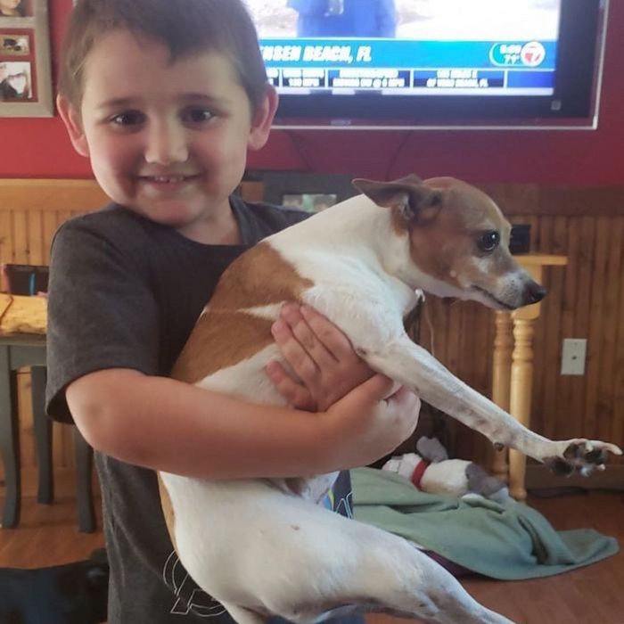 A conta do Instagram Got Toddlered mostra os pais antes e depois dos filhos 34