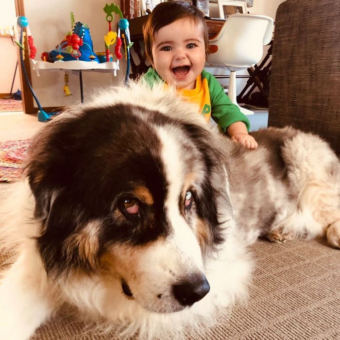 A conta do Instagram Got Toddlered mostra os pais antes e depois dos filhos 52