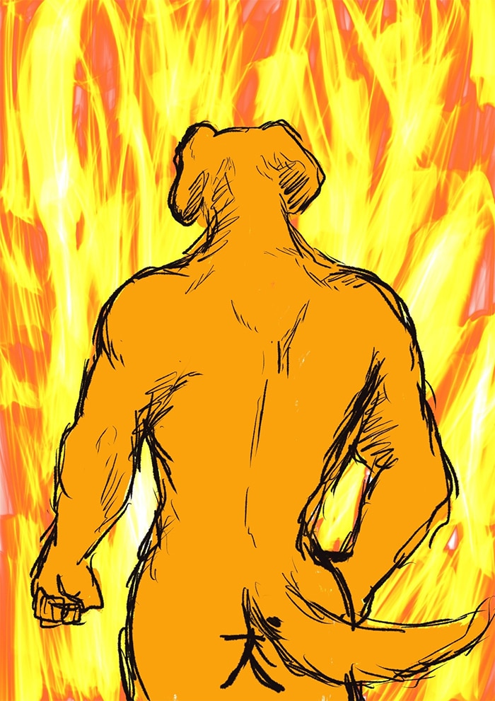 Alguém compartilhou uma foto de cachorro, e os mestres do Photoshop atacou de uma maneira hilária (16 fotos) 15