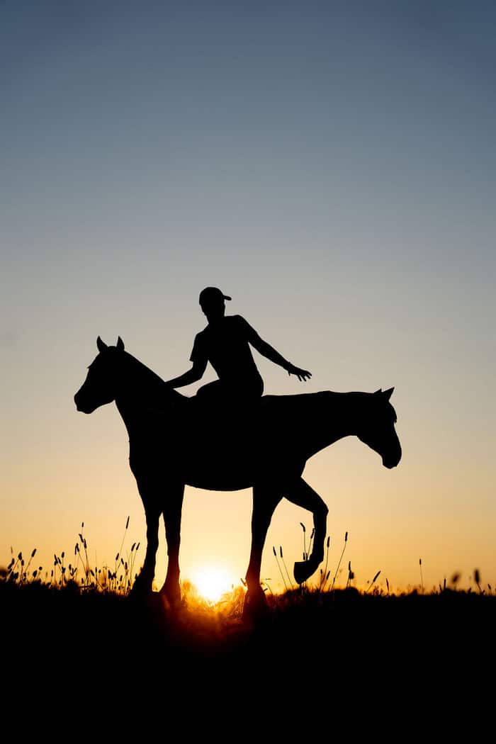 Este artista recorta papelão para criar obras mágicas ao pôr do sol 1