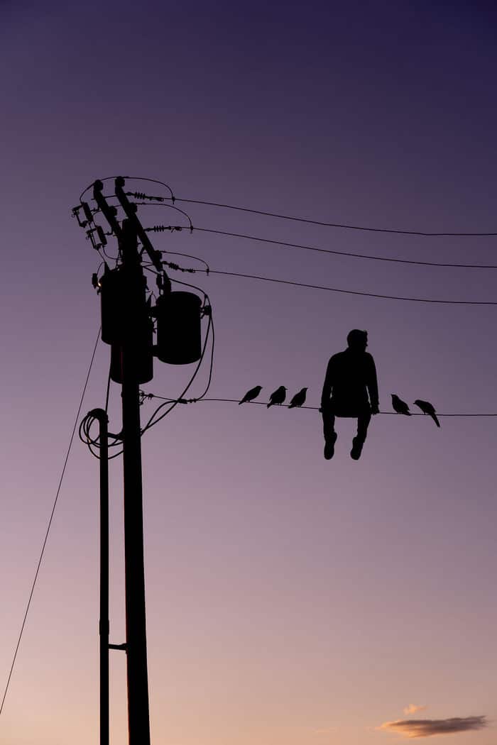 Este artista recorta papelão para criar obras mágicas ao pôr do sol 3