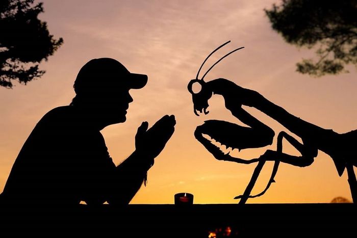 Este artista recorta papelão para criar obras mágicas ao pôr do sol 11
