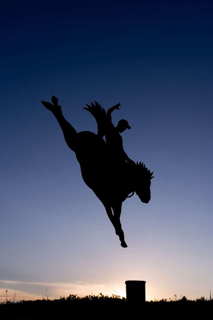 Este artista recorta papelão para criar obras mágicas ao pôr do sol 19