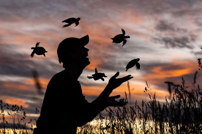 Este artista recorta papelão para criar obras mágicas ao pôr do sol 24