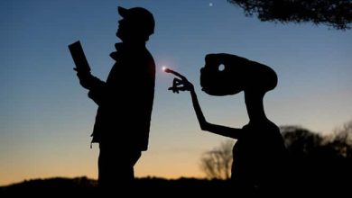 Este artista recorta papelão para criar obras mágicas ao pôr do sol 55