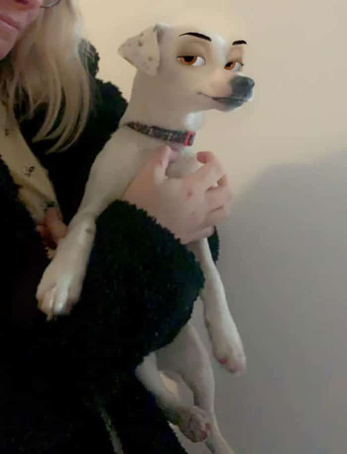 Este novo filtro Snapchat faz seu cachorro parecer um personagem da Disney (30 fotos) 19
