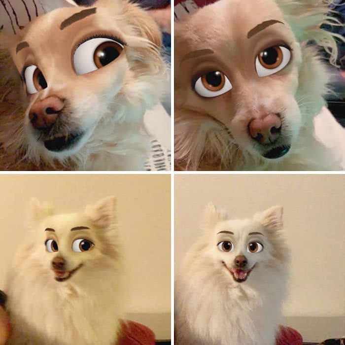Este novo filtro Snapchat faz seu cachorro parecer um personagem da Disney (30 fotos) 20