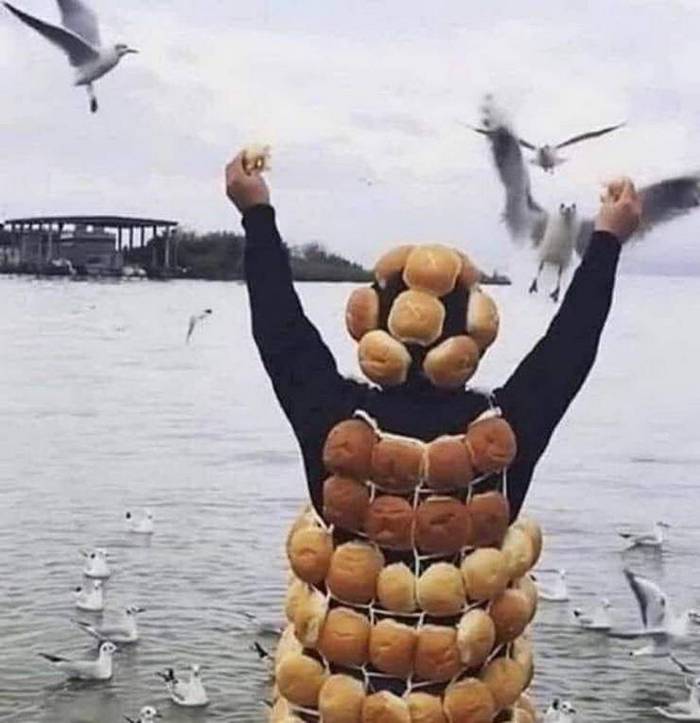 21 fotos que simplesmente não têm explicação 12