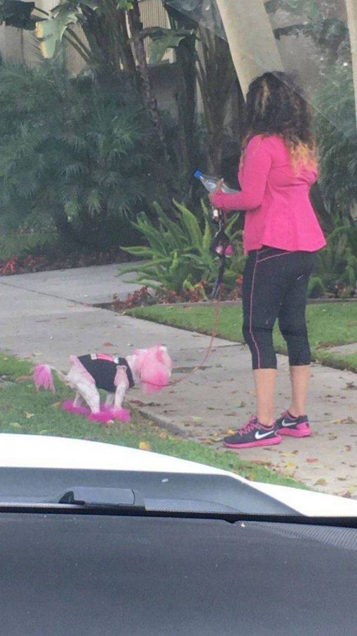 21 fotos que simplesmente não têm explicação 13