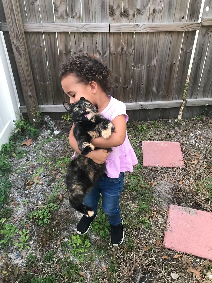 28 gatos dramáticos que merecem um Oscar 12