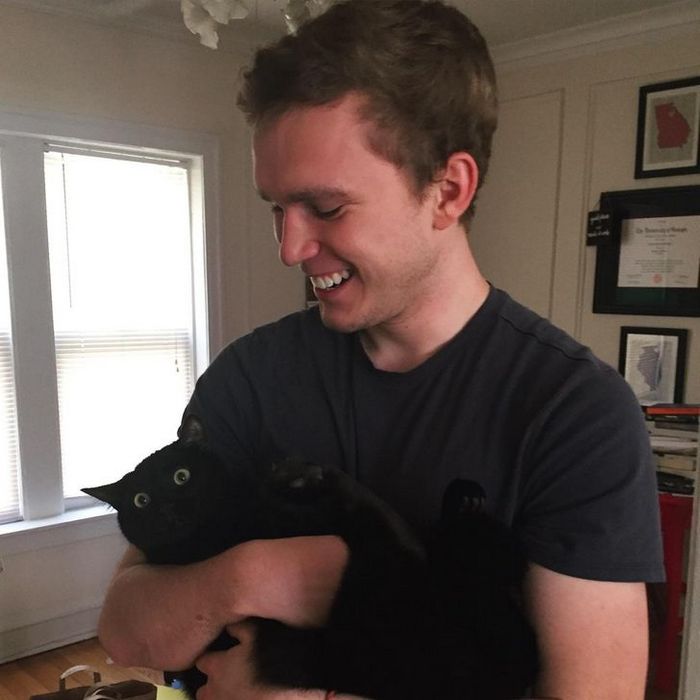 16 gatos que só querem ficar perfeitamente sozinho 2 16 gatos que só querem ficar perfeitamente sozinho 2