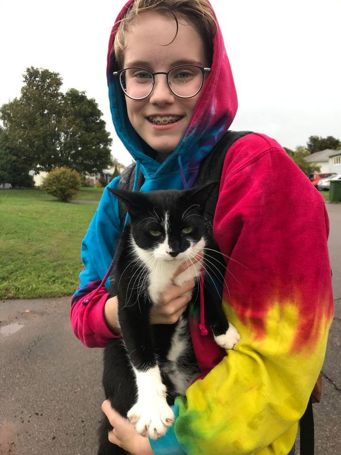 16 gatos que só querem ficar perfeitamente sozinho 4 16 gatos que só querem ficar perfeitamente sozinho 4