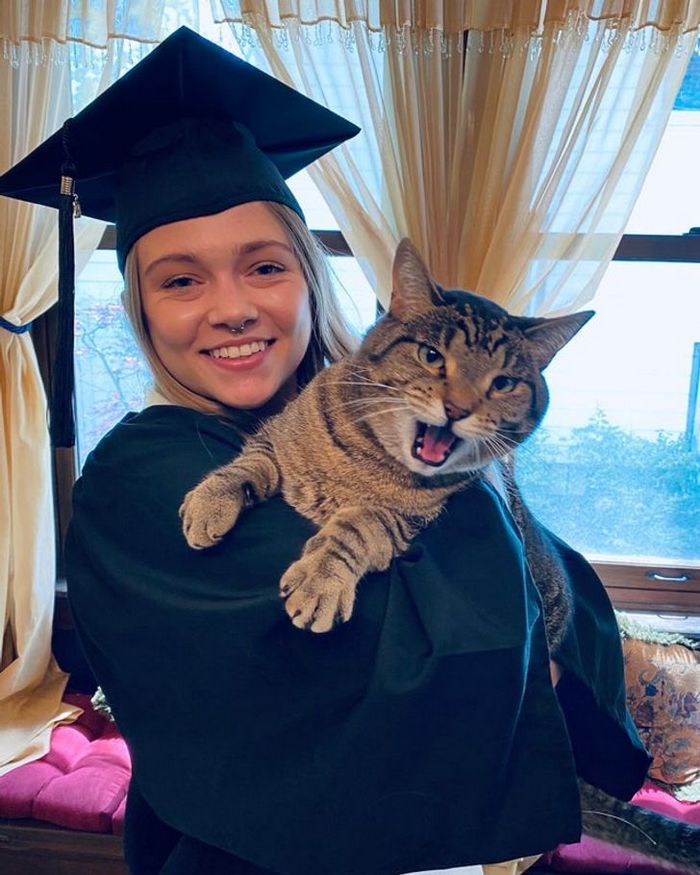 16 gatos que só querem ficar perfeitamente sozinho 5 16 gatos que só querem ficar perfeitamente sozinho 5