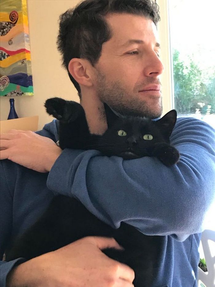 16 gatos que só querem ficar perfeitamente sozinho 8 16 gatos que só querem ficar perfeitamente sozinho 8