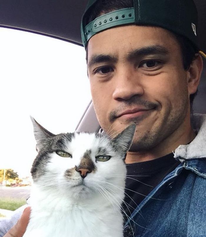 16 gatos que só querem ficar perfeitamente sozinho 10 16 gatos que só querem ficar perfeitamente sozinho 10