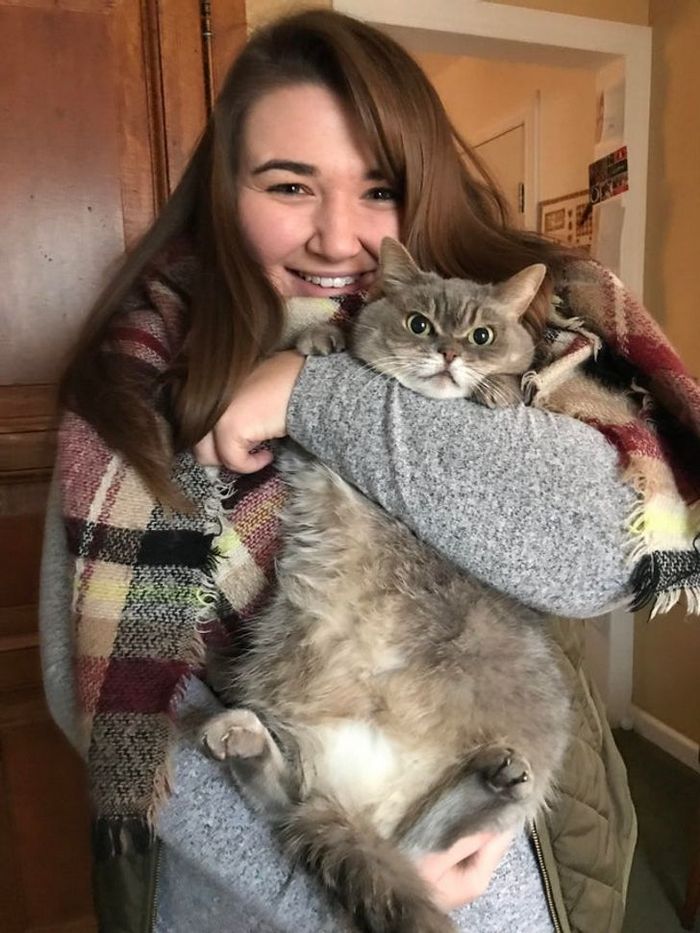 16 gatos que só querem ficar perfeitamente sozinho 11 16 gatos que só querem ficar perfeitamente sozinho 11