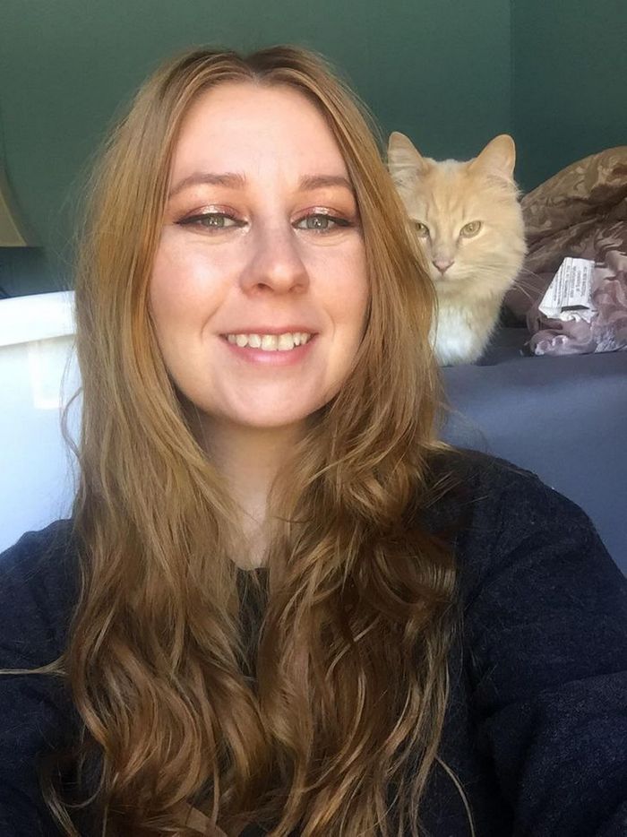 16 gatos que só querem ficar perfeitamente sozinho 14 16 gatos que só querem ficar perfeitamente sozinho 14