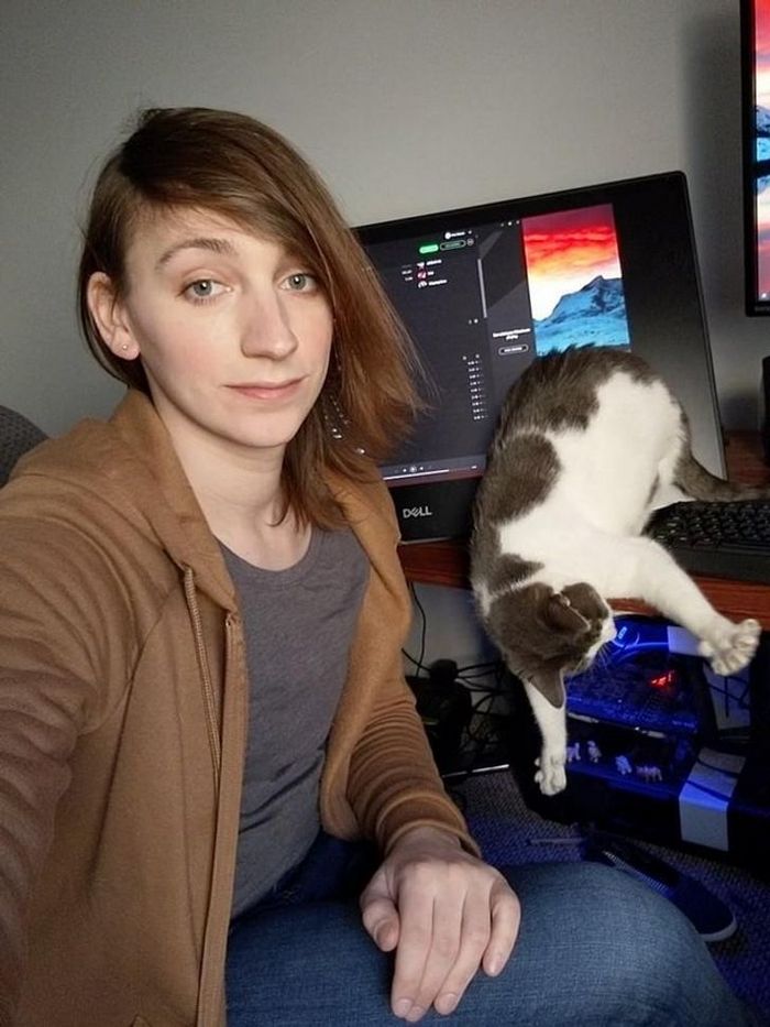 16 gatos que só querem ficar perfeitamente sozinho 15 16 gatos que só querem ficar perfeitamente sozinho 15