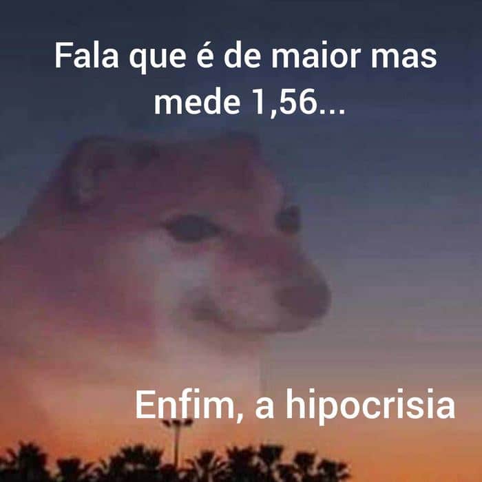 20 memes Enfim, a hipocrisia 7