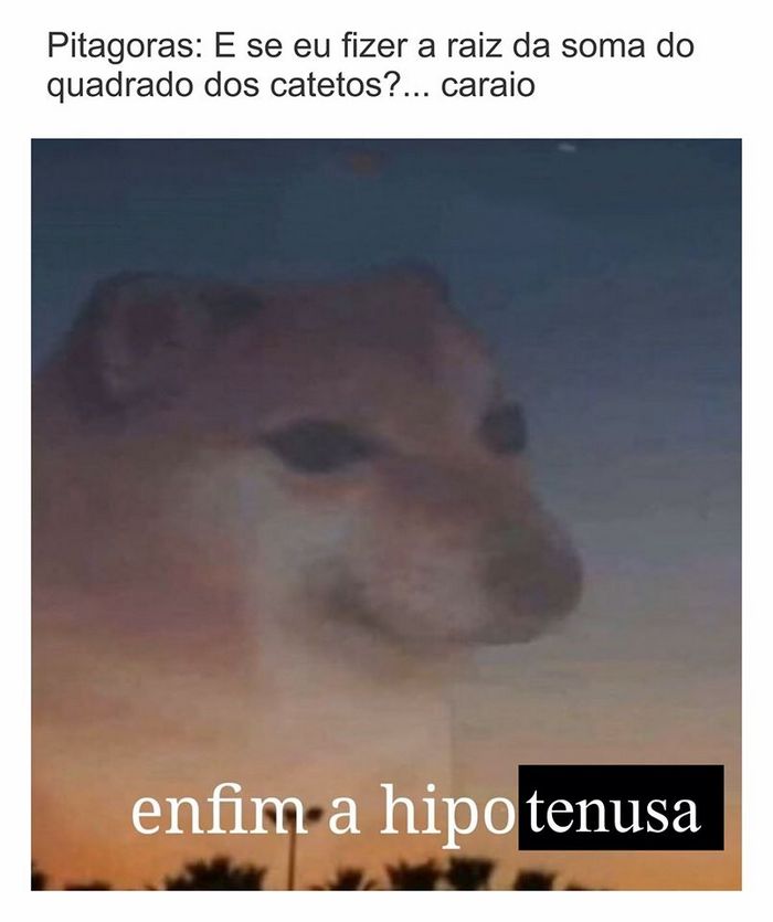 20 memes Enfim, a hipocrisia 15